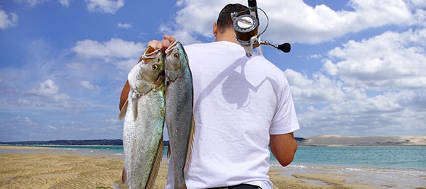 Michael Simonton, Bass Master Elite Champion