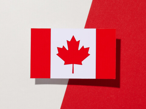 Dynamo Battery - Canada Launch
