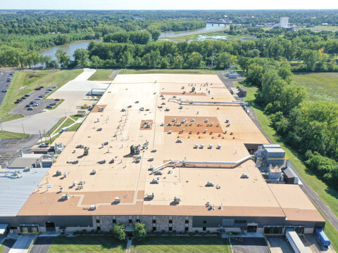 Crown plant expansion