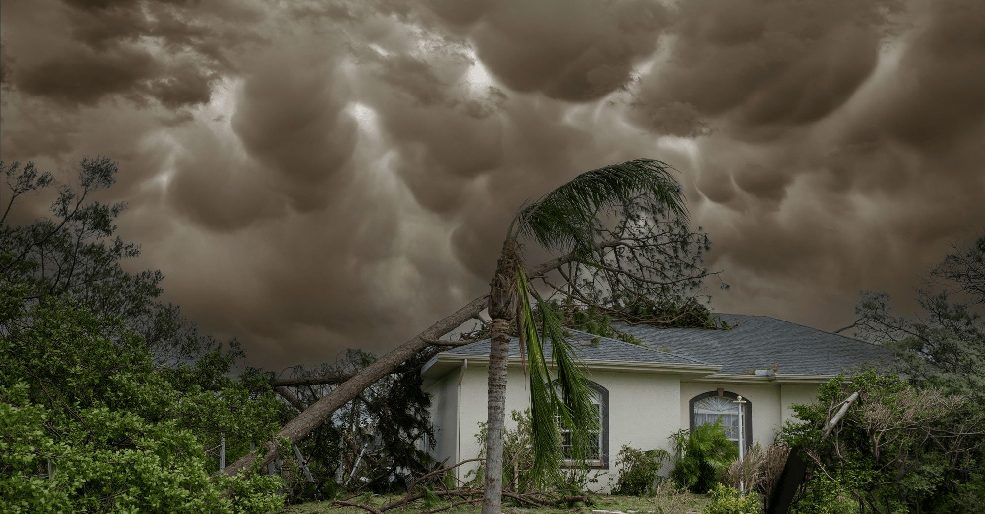 hurricane-header