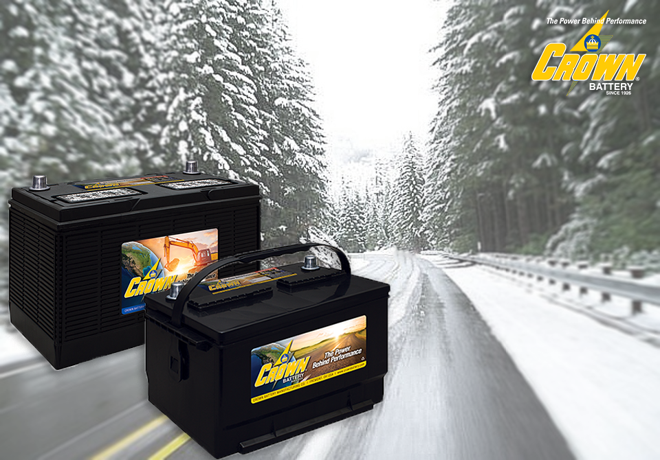 Winter Battery Protection